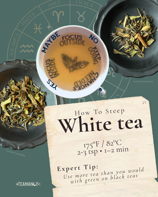 A Gentle Guide to Brewing White Tea